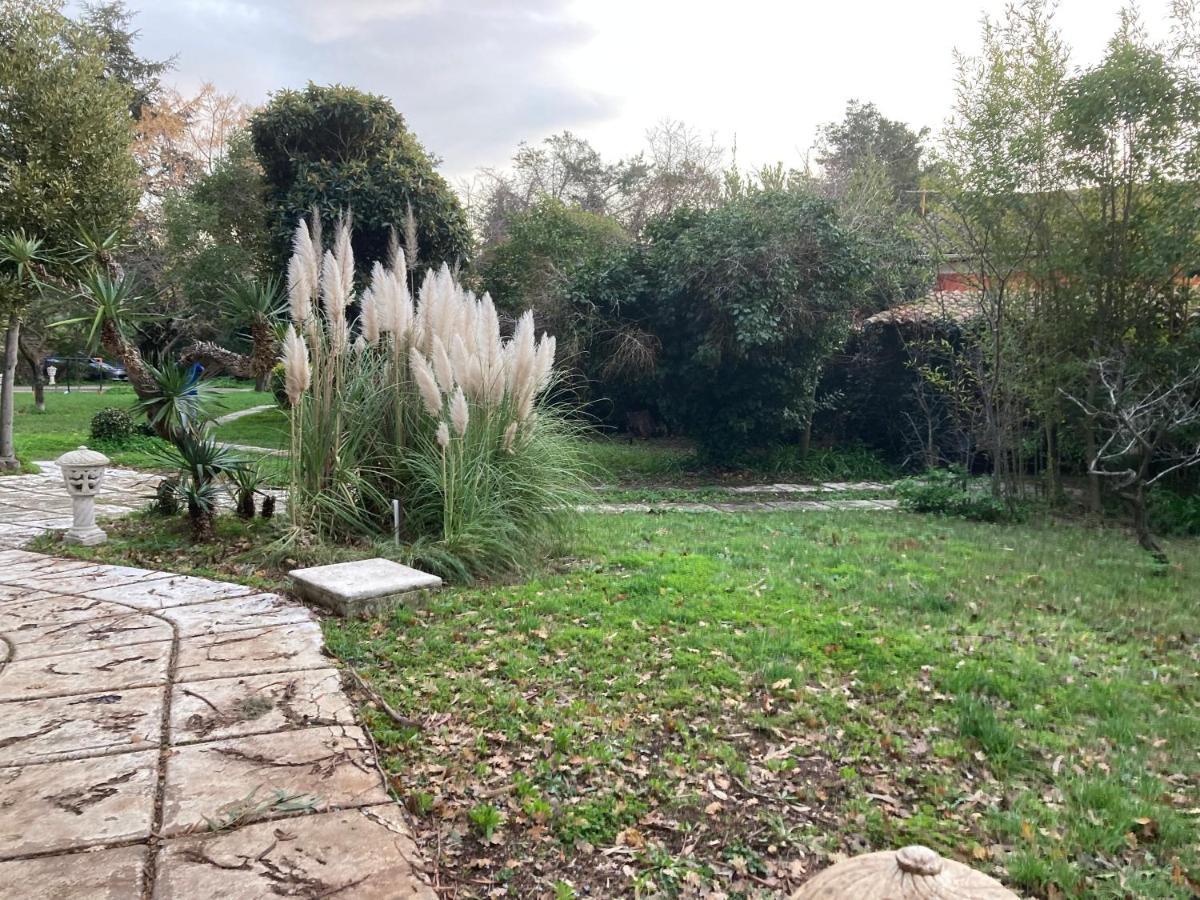 Gite Encore Un Soir Hyères Kültér fotó
