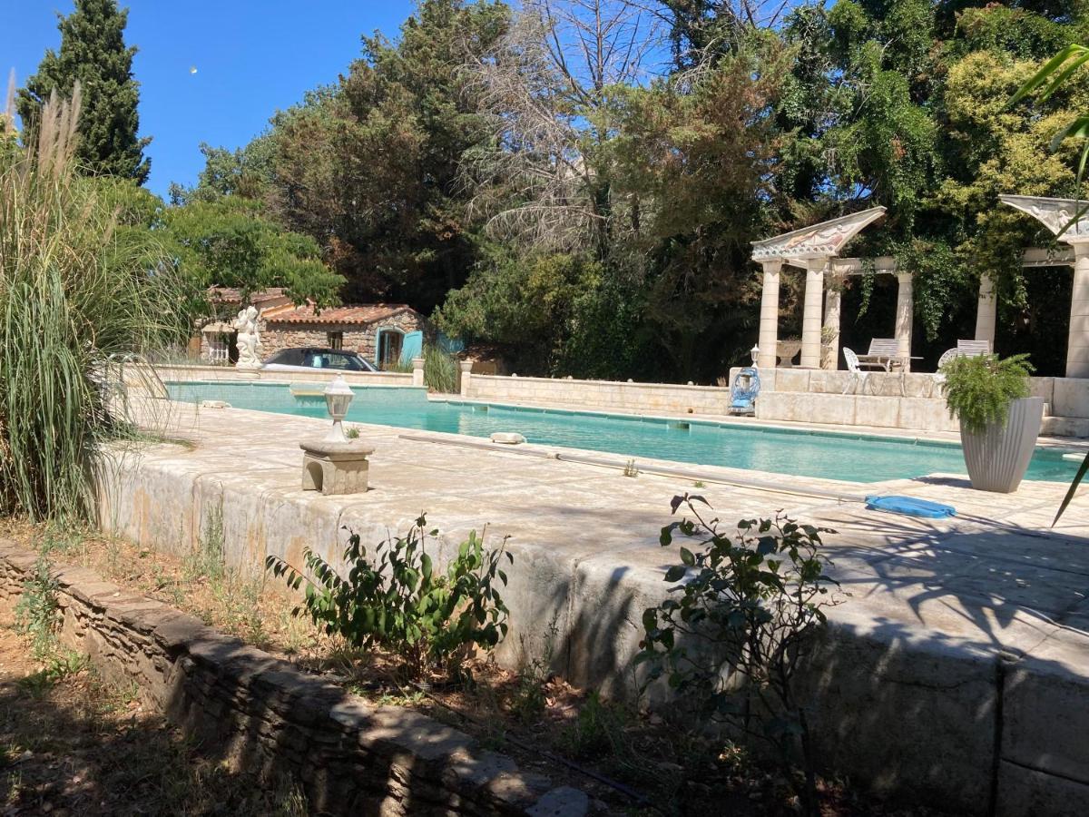 Gite Encore Un Soir Hyères Kültér fotó